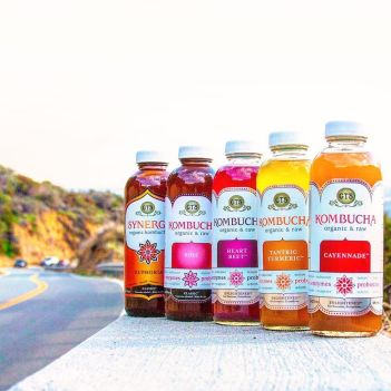 Image result for gts kombucha